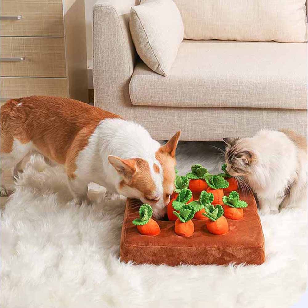 The Joy of Play — Why Toys Matter for Your Pet’s Health